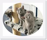 Balcony_b * 640 x 529