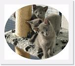 Balcony_c * 640 x 561