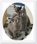 Balcony_d * 529 x 640