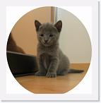 4weeks_7 * 640 x 650 * (188KB)