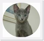 Bonarda_9_weeks * 640 x 585 * (203KB)