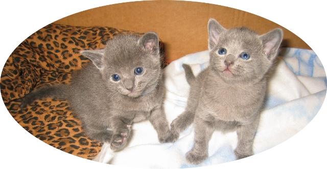 3,5weeks_boy_girl