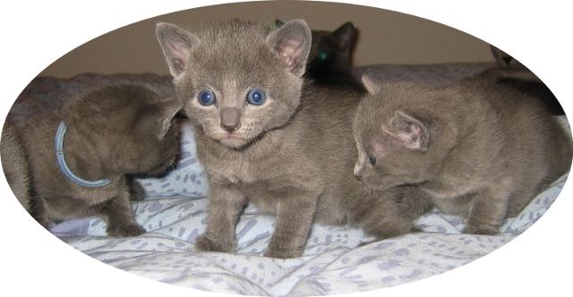 3,5weeks_boys_girl