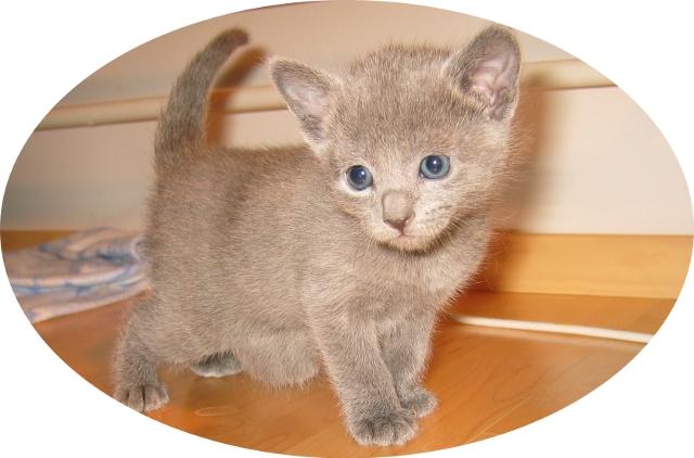 4weeks_girl_c