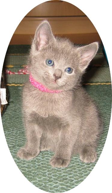 5weeks_girl_c