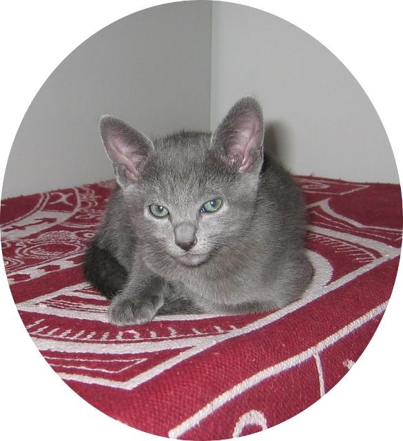 8weeks_Casimiro