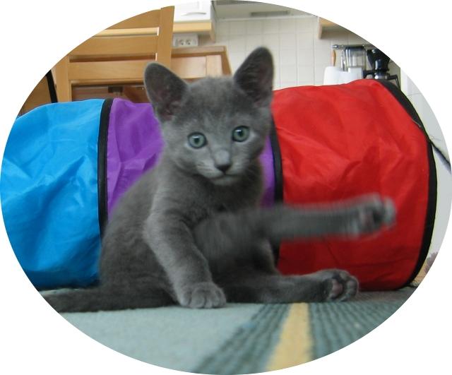 8weeks_Casimiro_2