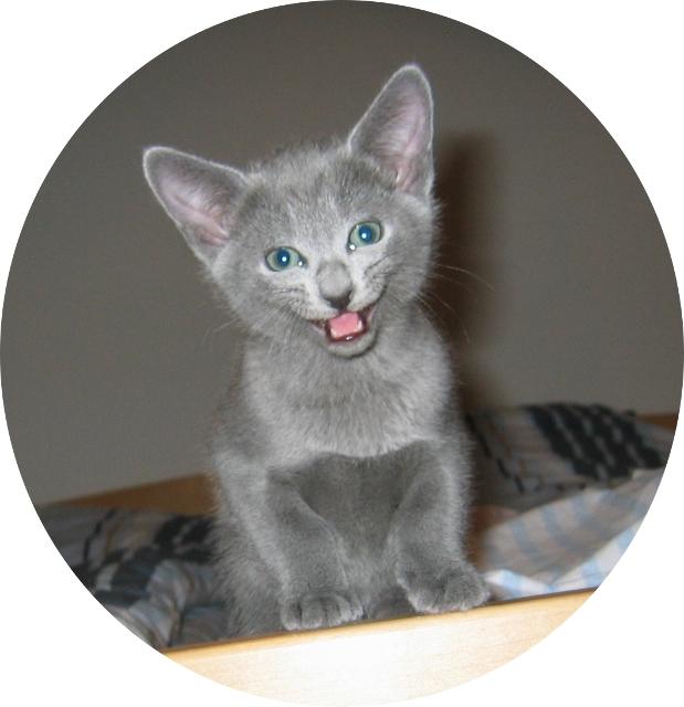 8weeks_Celestina