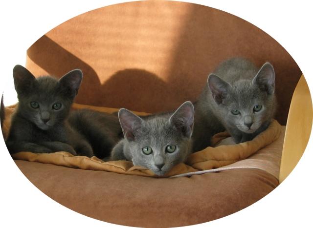 Constantino_Celestina_Carmencita