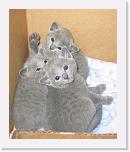 Moro * 534 x 640 * (258KB)